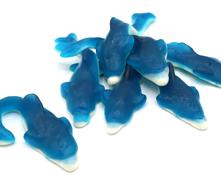 Giant Jelly Dolphins