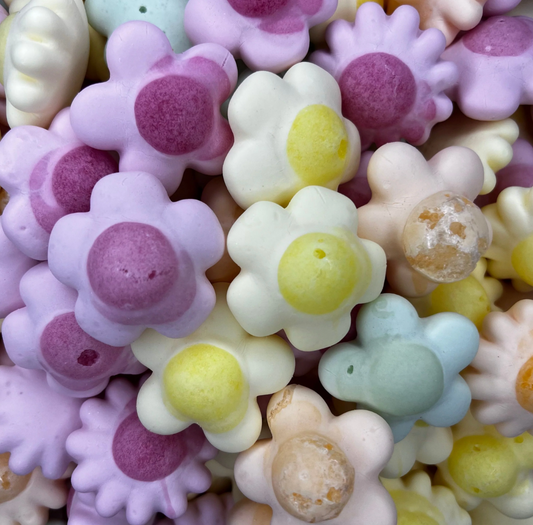 Freeze Dried Happy Flowers